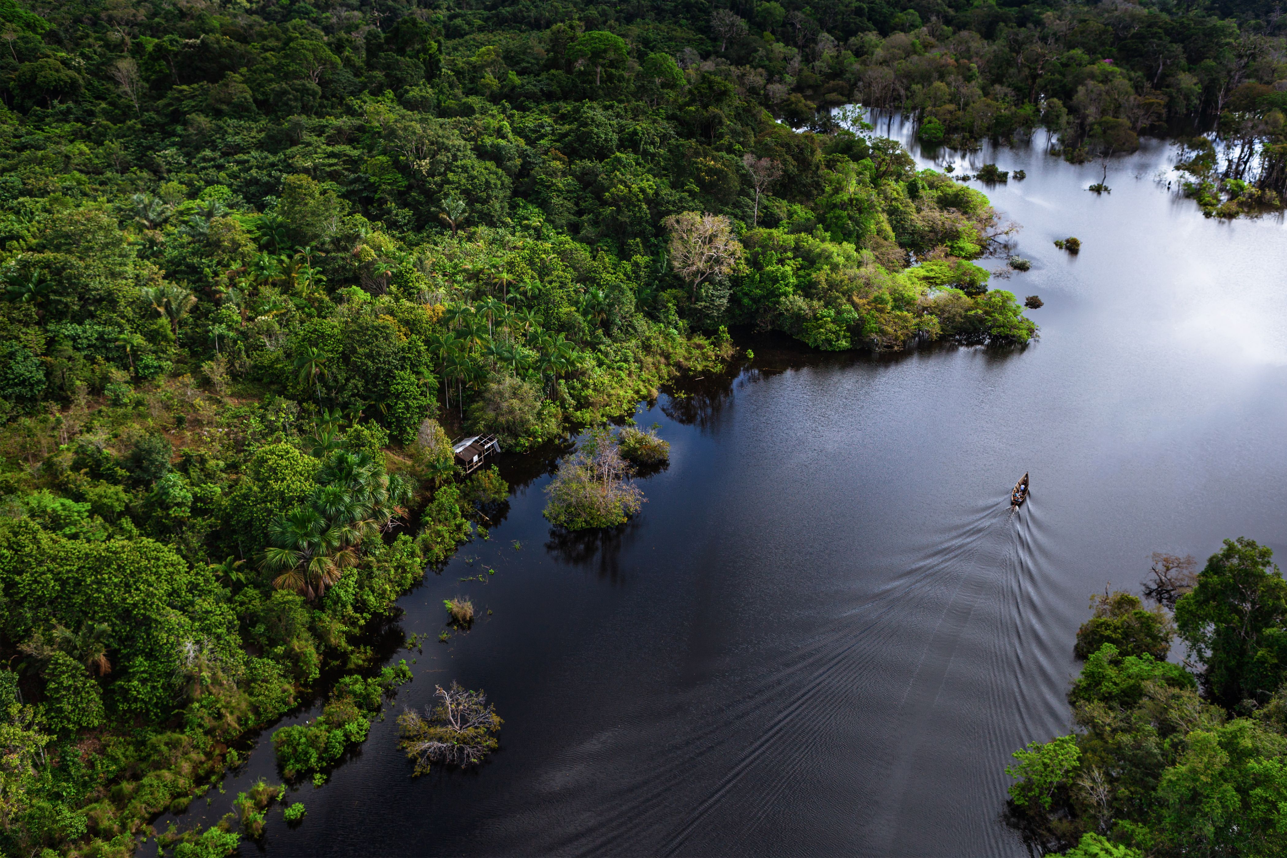 Floresta Amazônica