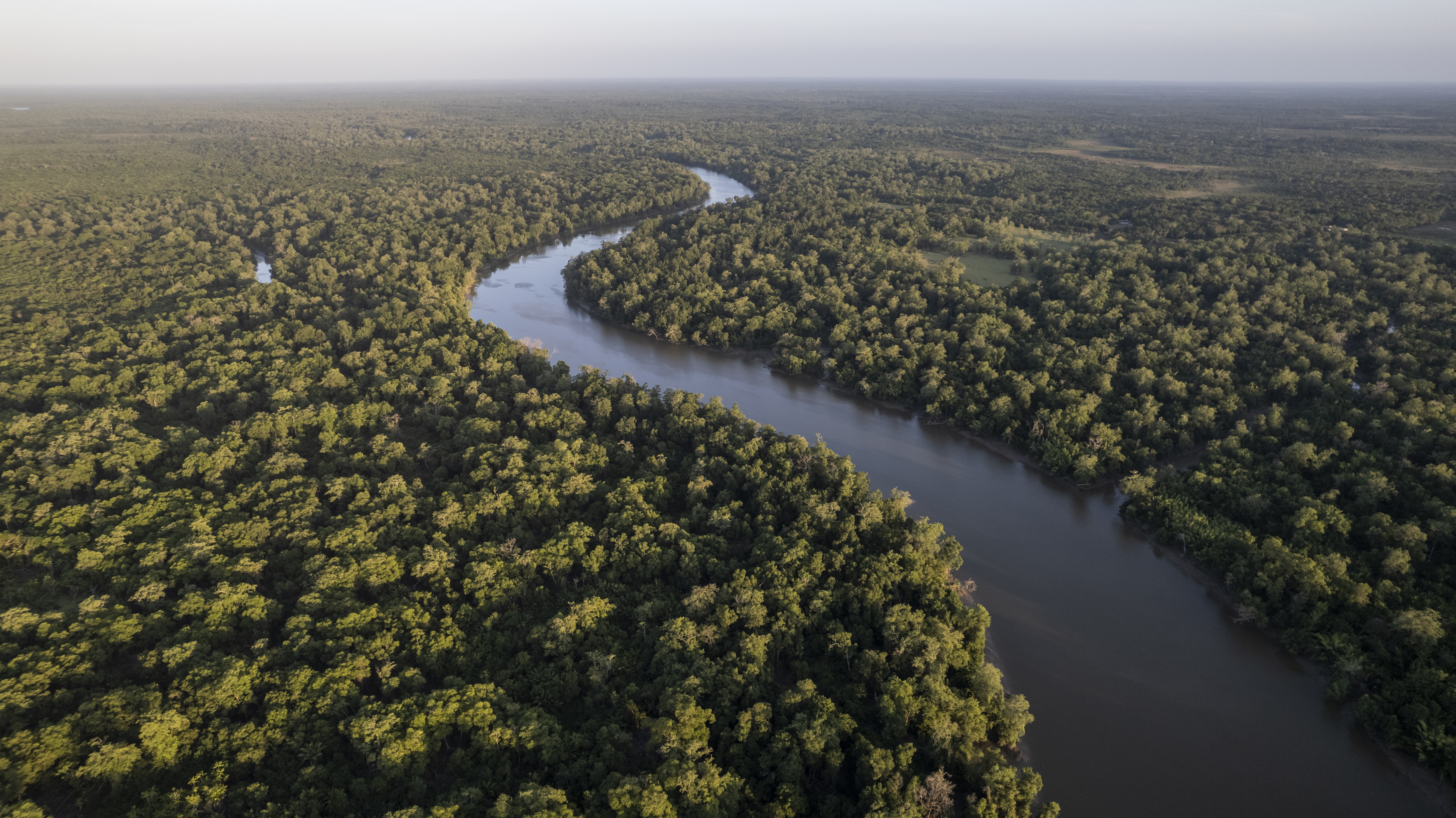 Imagem aérea da Floresta Amazônica