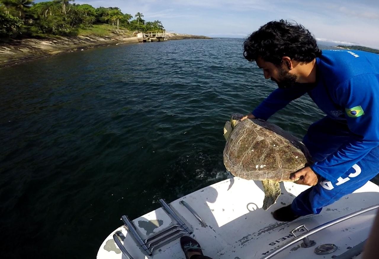 Homem na beira de um barco se prepara para devolver uma tartaruga ao mar