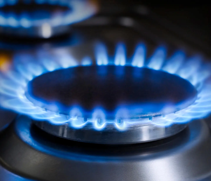 Foto de duas bocas de fogão com o fogo aceso, representando o uso de GLP Petrobras.