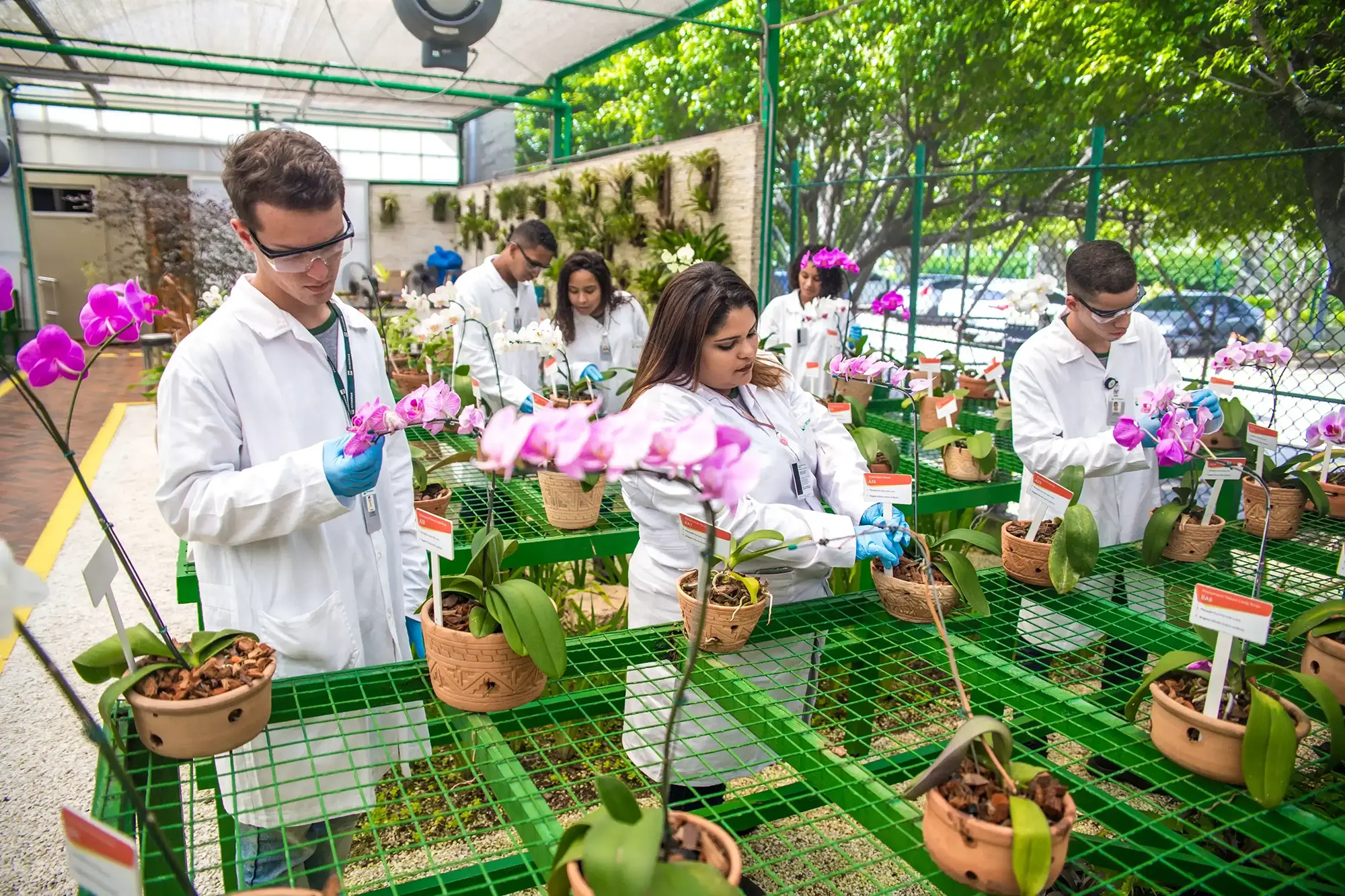 Vários cientistas trabalhando em flores. Eles estão utilizando EPIs de segurança.