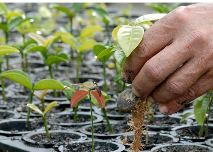 Foto aérea do Rio Amazonas, representando o compromisso da Petrobras com a natureza na gestão de seus recursos hídricos.