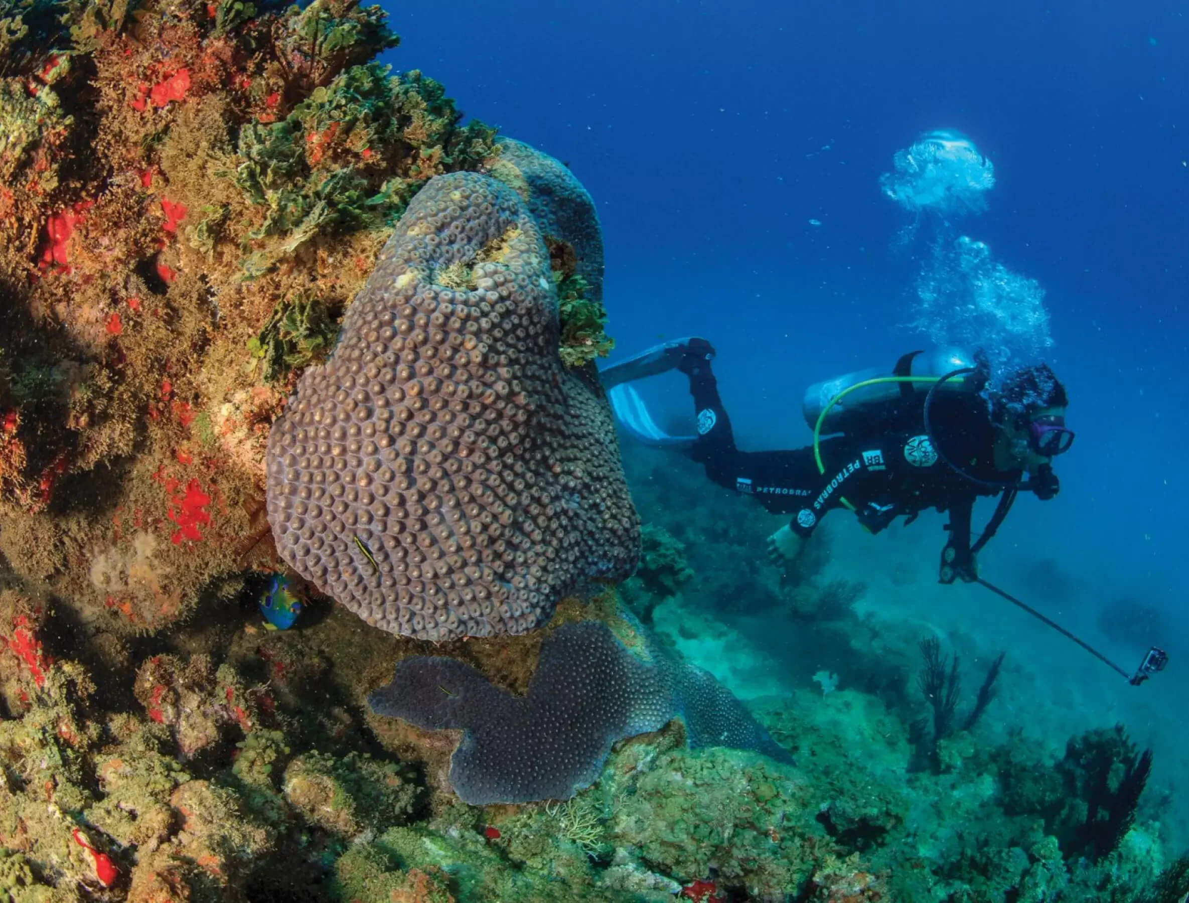Homem mergulhando com equipamento especializado em projeto socioambiental da Petrobras