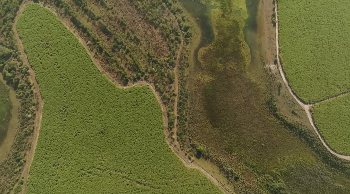 Imagem aérea de área rural com plantações verdes, estrada de terra e vegetação nativa ao redor de uma região alagada.
