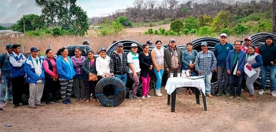 assiantencia tecnica agorpecuaria