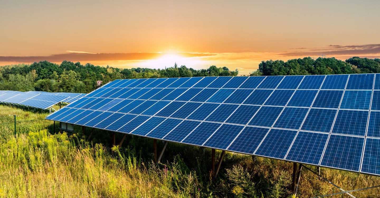 Painéis solares instalados em campo verde sob o pôr do sol, simbolizando energia limpa e sustentável.