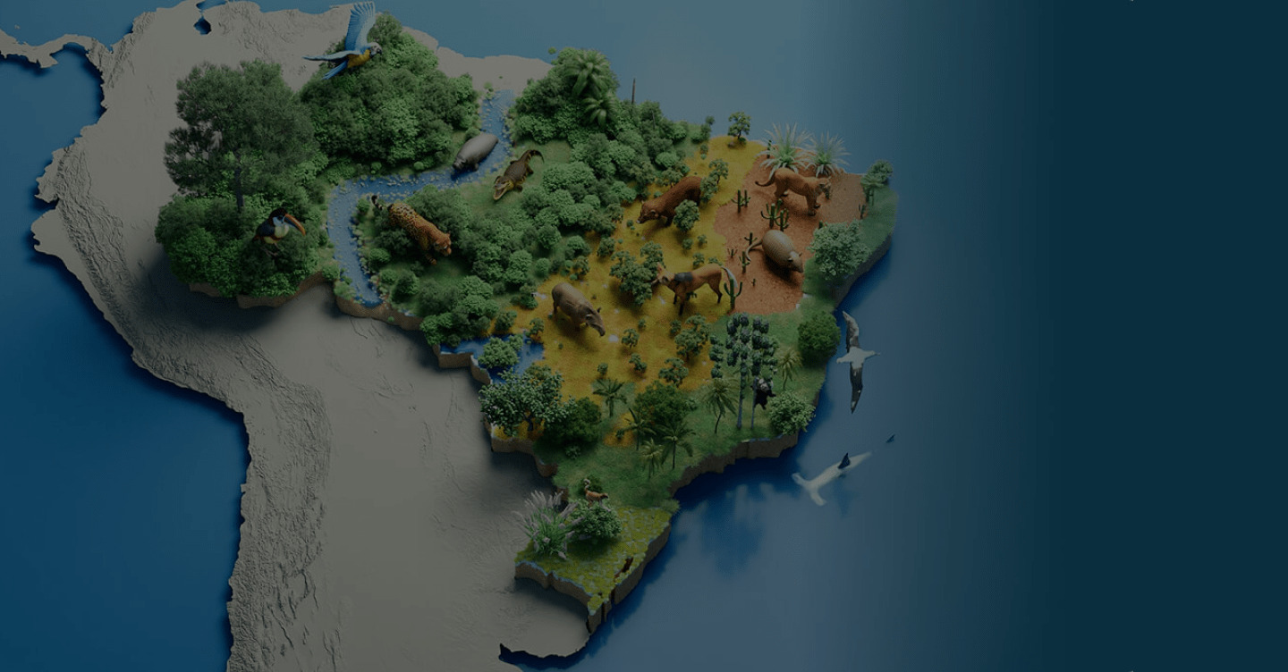 Mapa estilizado do Brasil em relevo, com diferentes biomas representados por vegetação, rios e animais da fauna brasileira.