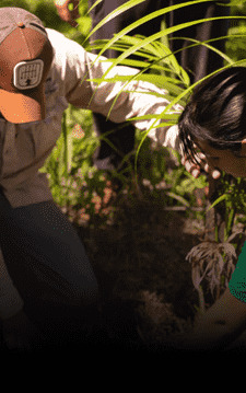 Duas pessoas realizando atividade de plantio em área verde, com foco na restauração ambiental.