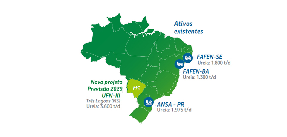 Imagem do Card