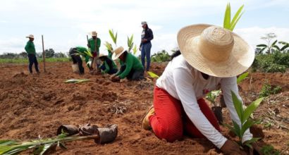 Pessoas participam de mutirão de plantio em área rural, realizando o cultivo de mudas em ação de recuperação ambiental.