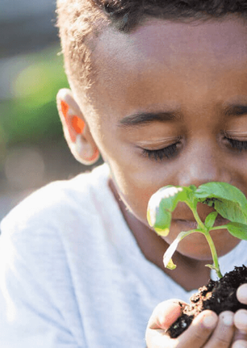 Menino cheira muda segurando a planta pelas mãos.