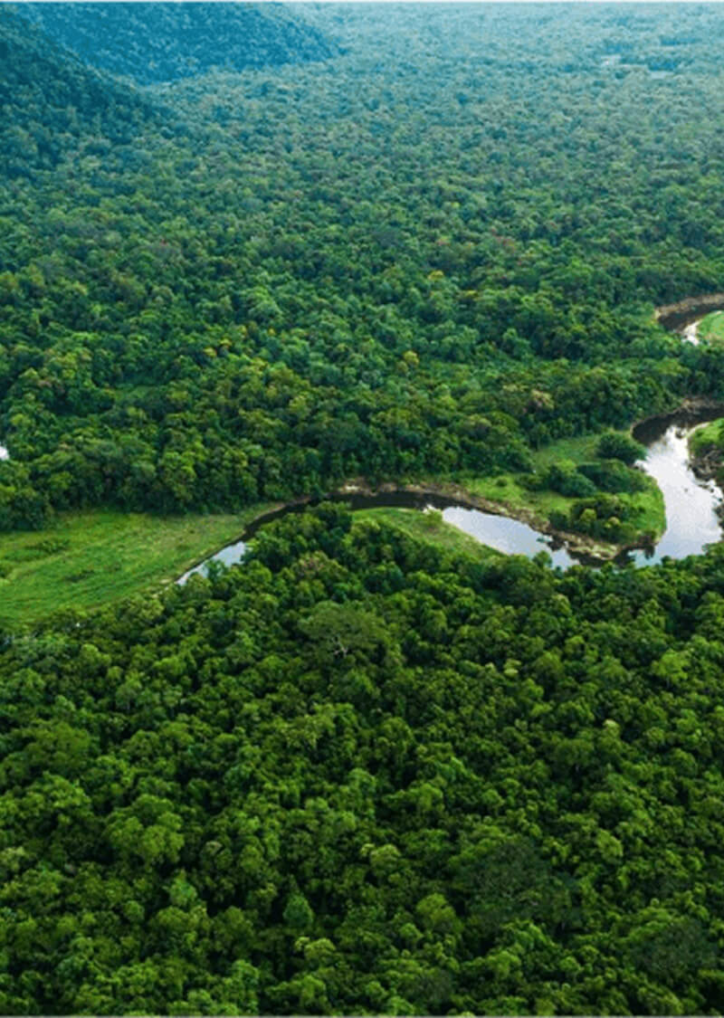Foto aérea da floresta amazônica com detalhes das curvas de rio.