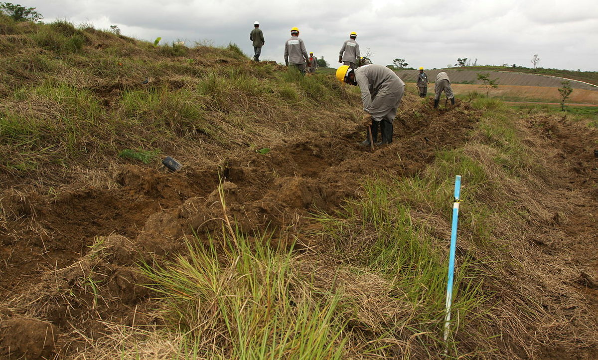 Fotografia diurna de diversas pessoas fazendo plantio no corredor ecológico do Complexo Petroquímico do Rio de Janeiro.