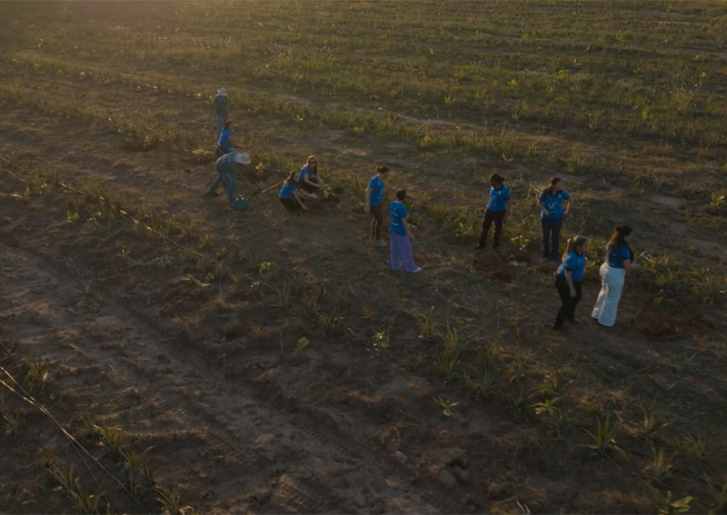 Imagem aérea de pessoas trabalhando na plantação de espécies nativas da Mata Atlântica.
