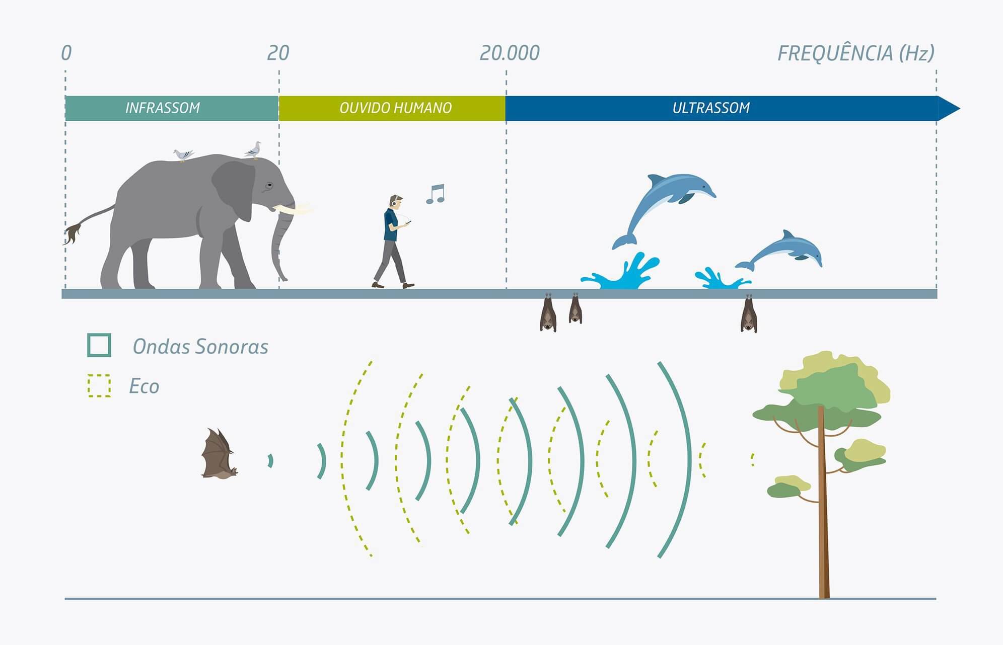 Ilustrações mostrando frequências sonoras do infrassom, de até 20 hertz, e do ultrassom, acima de 20 mil hertz.