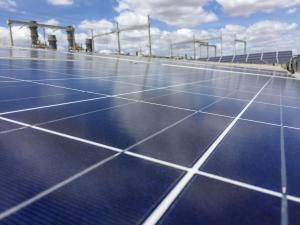 Painéis de usina fotovoltaica