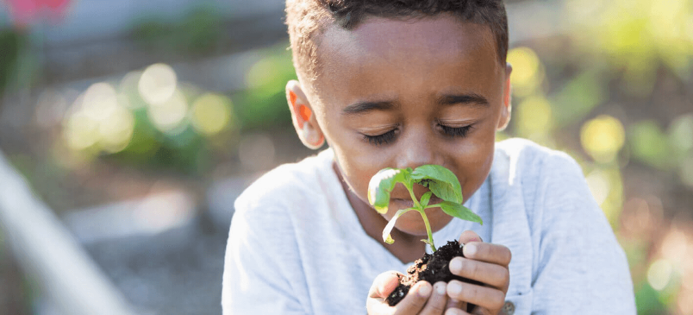 Foto diurna de um menino negro e de cabelos curtos cheirando uma muda de planta de olhos fechados.