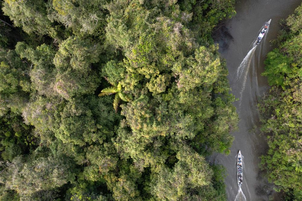 Biodiversidade