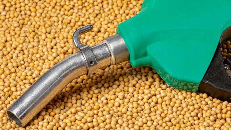 Bico de combustível verde sobre grãos de soja, simbolizando biocombustível.